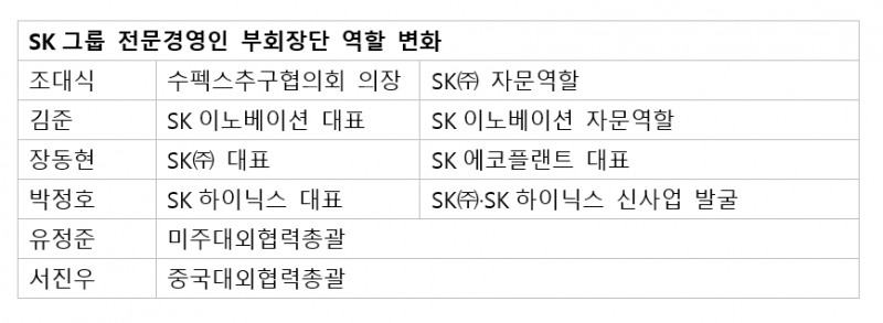 SK 최태원 2024 인사 키워드, 세대교체·오너경영 강화