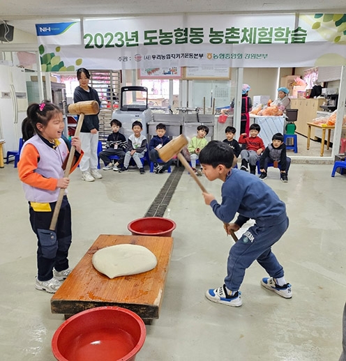 강원농협, 도농협동 농촌체험학습 지원사업 성과