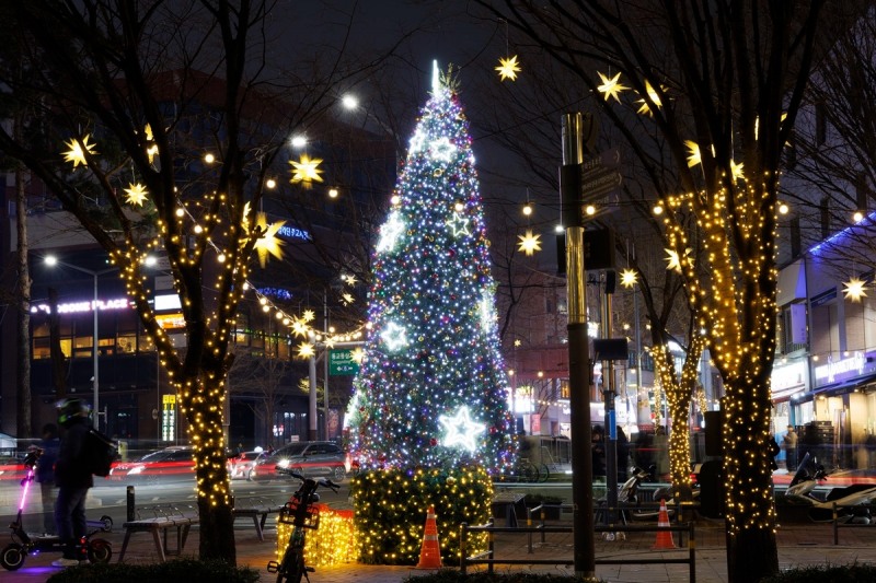 합정역 7번 출구 앞에 설치된 소원트리./사진제공=마포구