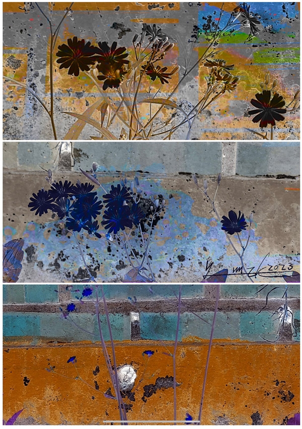 윤은경作. 시인의 편견. digatal drawing. 20x30cm. 2022