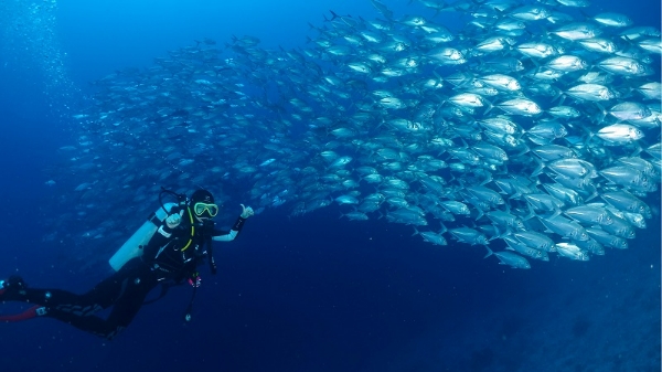 하나투어(대표 송미선)가 버킷리스트를 실현하고, 도전과 스릴을 즐길 수 있는 이색 레포츠 여행 신상품을 31일 출시했다. /사진=하나투어
