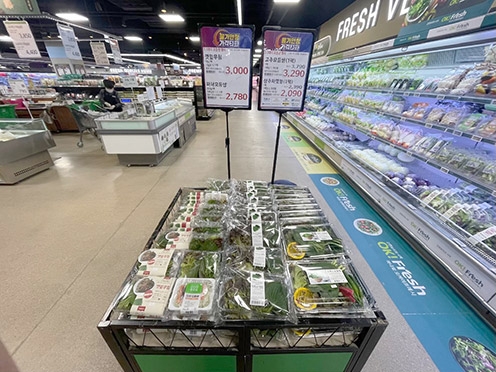 농협, ‘깻잎무침’, ‘파채모둠쌈’ 등 신제품 2종 출시