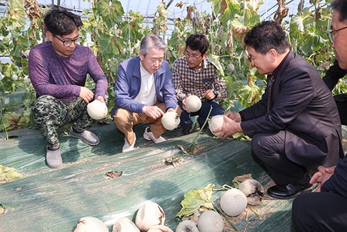 강호동 농협중앙회장, 일조량 부족 농업피해 현장 방문