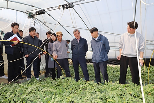 ▲ 충남세종농협은 잦은 강우와 일조량 부족으로 생육이 부진하여 농업피해가 발생됨에 따라 부여군 시설하우스 농가를 방문해 현장의 의견을 청취했다.