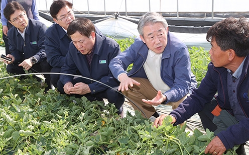 강호동 농협중앙회장, 성주 참외농가 방문 일조량 부족피해 현장점검