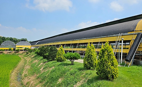 농협, 청정축산 구현 위한 방취림 조성사업 추진