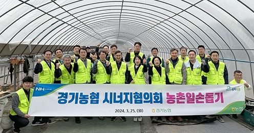 경기농협 시너지협의회, 농촌일손돕기 실시