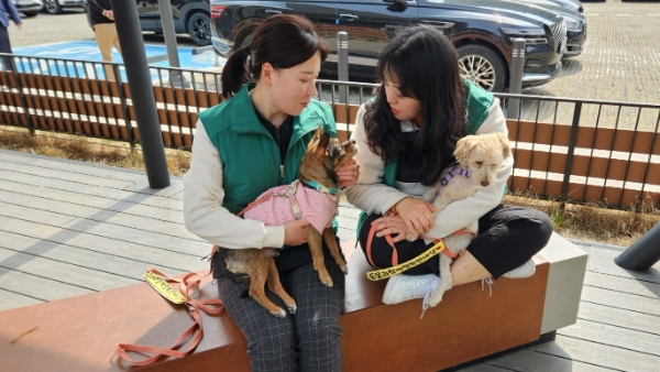 사진은 27일 스타벅스 더북한강R점에서 열린 유기견 입양 캠페인. 스타벅스 직원들이 유기견들과 어울리며, 봉사를 하고 있다. /사진=손원태기자