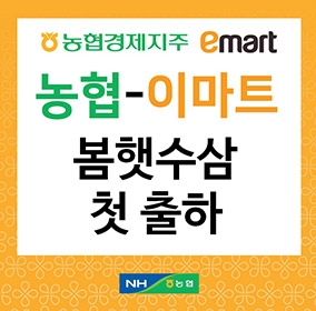 농협, 올해 첫 봄햇수삼 판매 개시