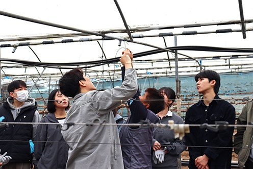 농협, '국민과 같이 농촌봉사활동' 통해 농사가치 전해