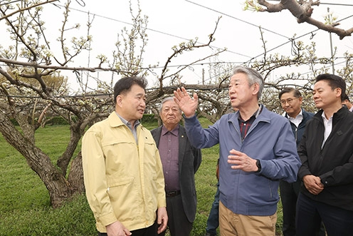 강호동 농협중앙회장, 개화기 저온피해 대응상황 점검…과수 생육관리 총력