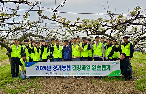 경기농협, 풍년기원 배꽃 인공수분 일손돕기