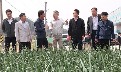 강호동 농협중앙회장, 경남 함양 양파농가 방문