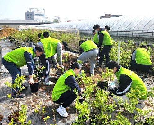 농협경제지주 축산기획부, 김포 화훼농가 일손돕기 나서