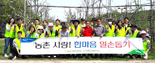 농협 축산경제, 농번기 일손돕기 팔걷어