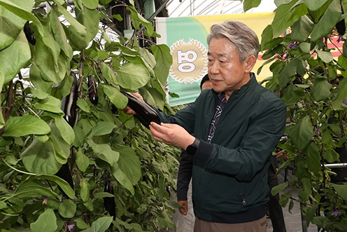 강호동 농협중앙회장, 가지 생육·출하 동향 점검차 농가 방문