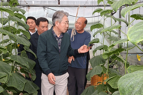 강호동 농협중앙회장, 대전 오이농가 생육상황 현장 점검