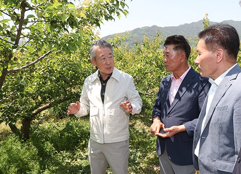 강호동 농협중앙회장, 경남 하동매실 농가 방문