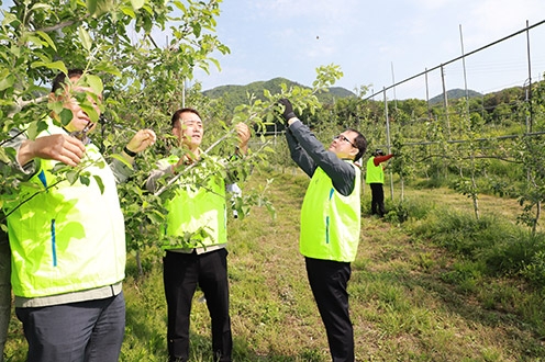 농협상호금융, 영농철 맞아 농촌일손돕기 나서