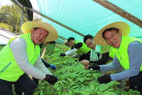 농협경제지주, 영농철 농촌 일손돕기 나서