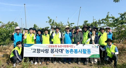 강원농협 '고향사랑 봉사대', 영농철 농촌일손돕기 실시