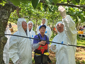 박서홍 농업경제대표이사, 배 농가 과수 화상병 방제 현황 점검