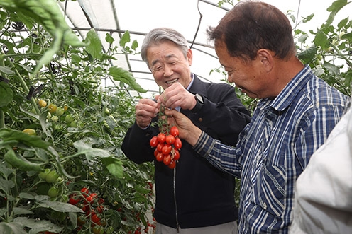강호동 농협중앙회장, 충남 아산 농가 찾아 생육동향 점검