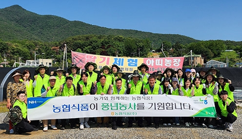 농협경제지주, 영농철 연이은 일손 돕기