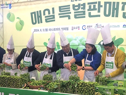 농협, 매실 소비촉진 상생마케팅 할인행사 실시