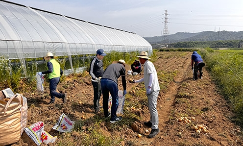 농협안성교육원, 영농철 일손돕기 나서