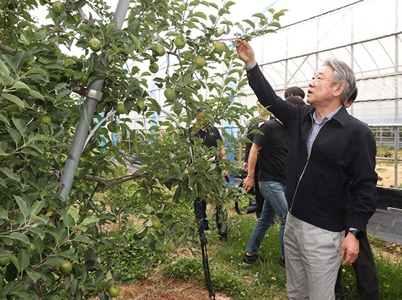 강호동 농협중앙회장, 강원도 철원 파프리카·사과 재배농가 현장 방문