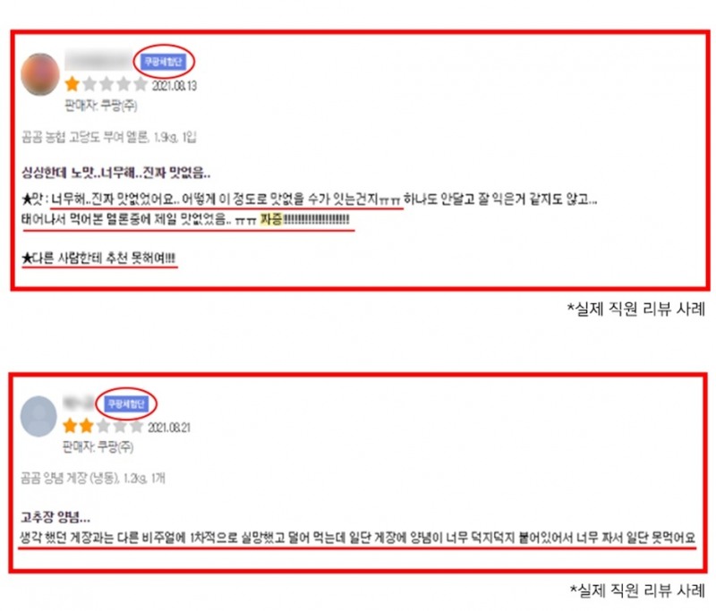 쿠팡체험단이 쓴 리뷰. /사진제공=쿠팡