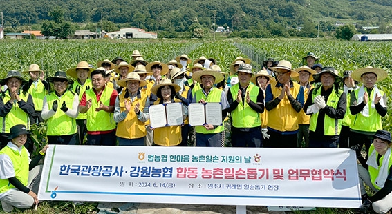강원농협·한국관광공사, 한마음으로 농촌 일손돕기 구슬땀