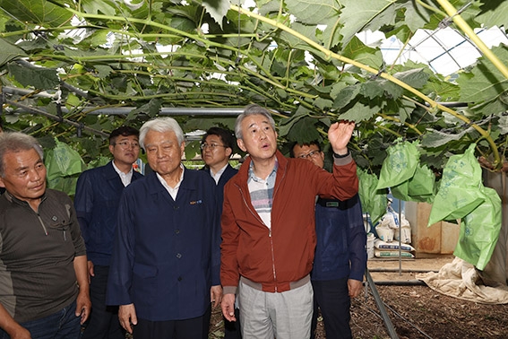 강호동 농협중앙회장, 경북 영천 포도 재배농가 현장 방문