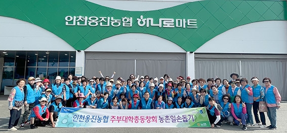 인천옹진농협, 포도봉지 씌우기 일손돕기 총력