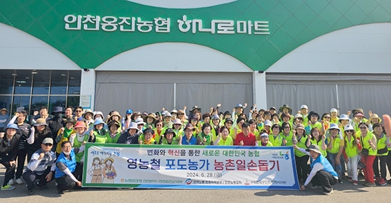 농협 인천옹진군지부, 영농철 포도농가 농촌일손돕기 실시