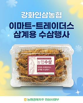 농협, 여름맞이 삼계용 수삼 판매 실시