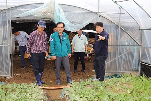 ▲ 백남성 농협충남세종본부장(오른쪽)과 황인국 정산농협조합장(가운데)이 청양군 장평면 수해피해를 입은 수박재배 농민을 찾아 복구 대책을 논의하고 있는 모습.