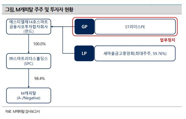 M캐피탈 주주 및 투자자 현황./사진 = 나이스신용평가 보고서 캡쳐