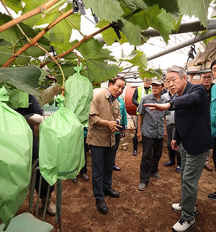 강호동 농협중앙회장, 집중호우 피해현장 방문