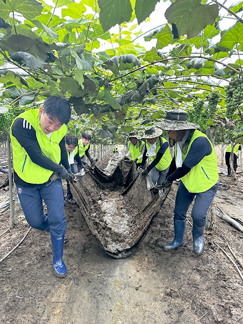 농협중앙회 강원본부, 충북 영동군 재해복구 일손돕기 실시