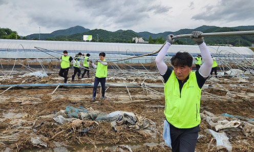 ▲ 백남성 농협충남세종본부장과 직원들은 최근 집중호우로 침수 피해를 입은 금산군 추부면 깻잎 재배 농가를 찾아 수해 복구를 진행했다.
