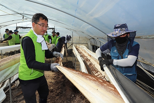 ▲ 서산시와 태안군 지역 농축협 임직원들이 논산시 연무읍 호우피해 농가를 찾아 수해복구 봉사활동을 펼치고 있다.
