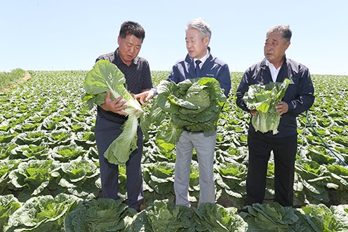 강호동 농협중앙회장, 강원도 배추·복숭아 재배농가 현장 방문