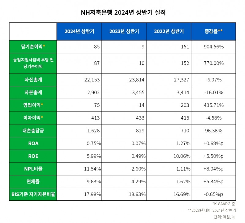 NH저축은행 2022-2024년 상반기 실적 비교 표./자료 = NH농협금융지주