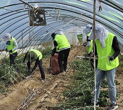 농협상호금융, 집중호우 피해복구 일손돕기 나서