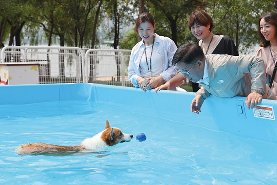 ▲ 박강수 마포구청장이 반려동물 캠핑장에 조성된 물놀이장을 점검하는 모습. 사진제공 = 마포구