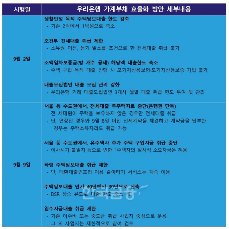 우리은행 가계부채 효율화 방안 세부내용./ 자료 = 우리은행
