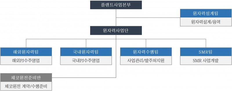 대우건설 원자력사업 분야 개편 모색도 / 자료제공=대우건설