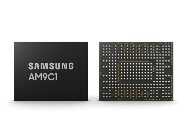 삼성전자가 업계 최초로 8세대 V낸드를 적용한 PCIe 4.0 차량용 SSD AM9C1. / 사진=삼성전자